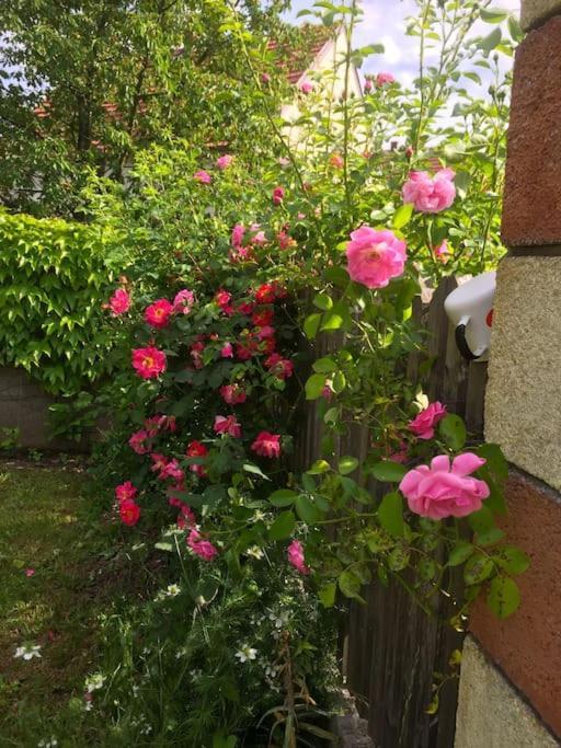 Ferienhaus Mit Garten In Thermennaehe Strebersdorf Bagian luar foto