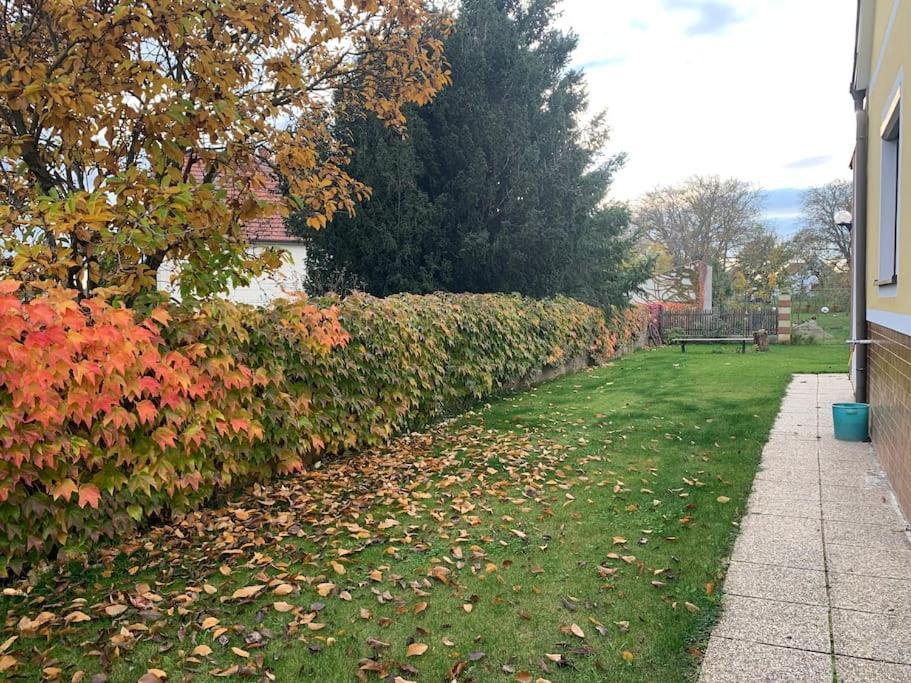 Ferienhaus Mit Garten In Thermennaehe Strebersdorf Bagian luar foto